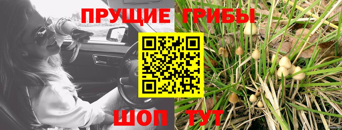 Псилоцибиновые грибы Magic Shrooms  Вход с VPN  Реутов 